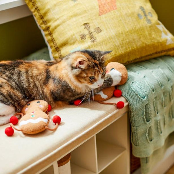 Choosing the Right Toys for Your Cat or Dog's Personality