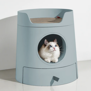 Litter Boxes & Accessories