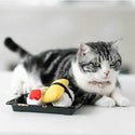 Sushi Catnip Toy Set - Catoro Pets