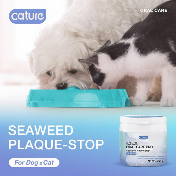 Cature Seaweed Plaque-Stop - Catoro