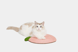 Peach Scratching Pad - Catoro Pets