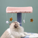 Oceanview Cat Climbing Tree - Catoro Pets