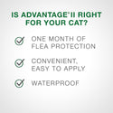 Advantage II Cats 4kg+