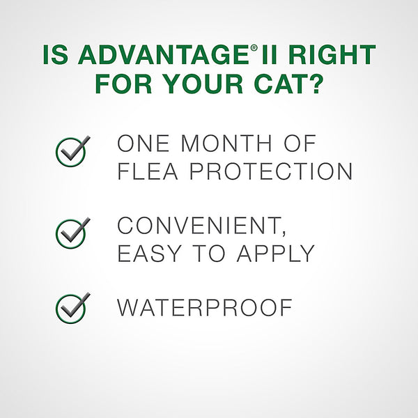 Advantage II Cats 2.3kg-4kg