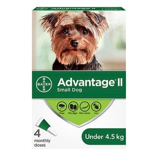 Advantage II 犬用 4.5kg 4 劑