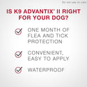 Advantix II Dog 0.4ml - Under 4.5kg