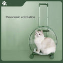 Vetreska Transparent Luggage for Pets - Catoro