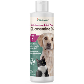 Glucosamine DS Liquid 8OZ Level 1