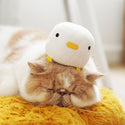 Little Chicken Series Catnip Plush Toy Set - Catoro Pets