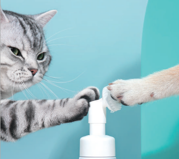 Cature Waterless Paw Cleaning Foam - Catoro