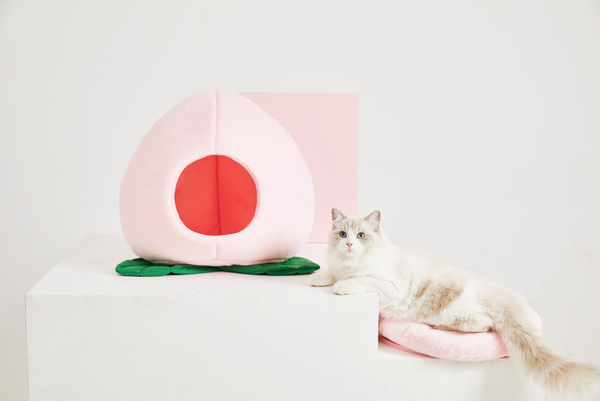 Peach Pet Bed - Catoro