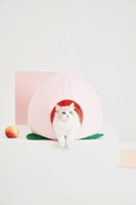 Peach Pet Bed - Catoro