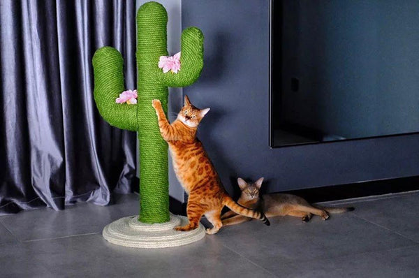 Oasis Cactus Cat Tree Large - Catoro