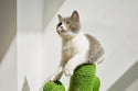 Oasis Cactus Cat Tree Large - Catoro