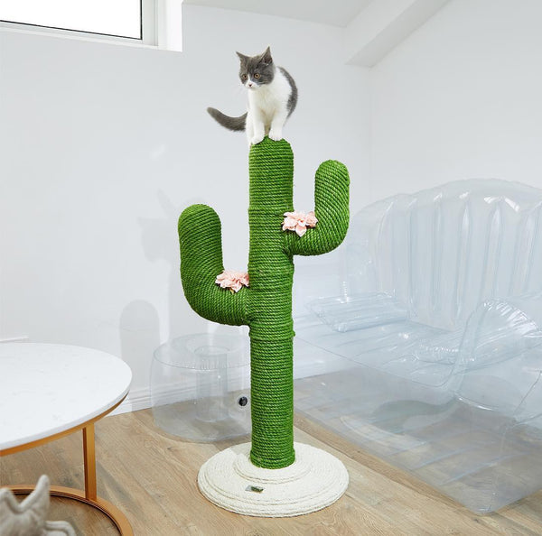 Oasis Cactus Cat Tree Mini - Catoro